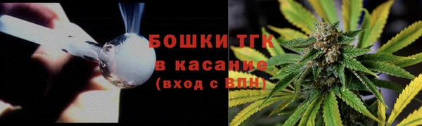 винт Лиски
