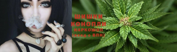 винт Лиски