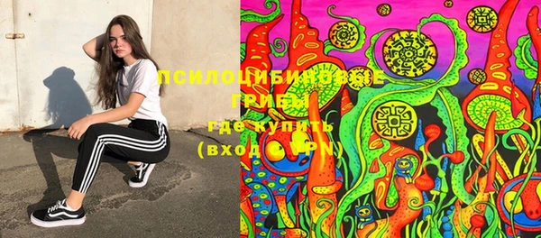 винт Лиски