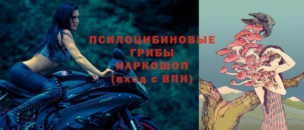 винт Лиски