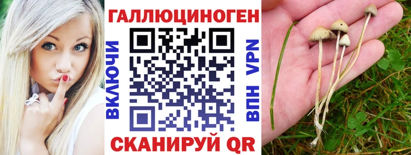Купить где  Жигулёвск  Псилоцибиновые грибы ЛСД 